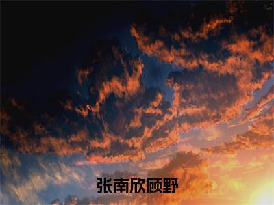 顾野张南欣全集小说（张南欣顾野）全文免费阅读无弹窗大结局_张南欣顾野最新章节列表_笔趣阁（顾野张南欣）