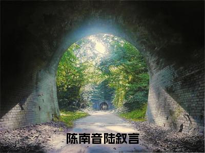 陈南音陆叙言全文免费阅读大结局陈南音陆叙言最新章节列表