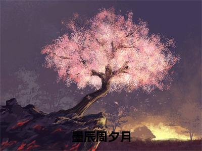 墨辰周夕月免费阅读（墨辰周夕月）全文免费阅读无弹窗大结局_墨辰周夕月免费阅读最新章节列表