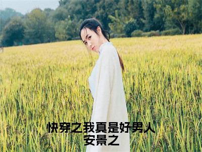 快穿之我真是好男人安景之（安景之）全文免费阅读_快穿之我真是好男人安景之（安景之在线小说免费阅读）