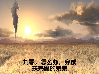 九零，怎么办，穿成扶弟魔的弟弟（季里）全文免费阅读无弹窗大结局_季里最新章节列表_笔趣阁（季里）