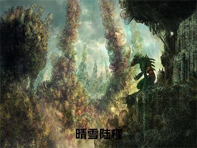 小说晴雪陆槿全文免费阅读无弹窗大结局_（晴雪陆槿）全文在线阅读