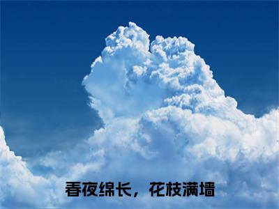 江云山姜蕊（春夜绵长，花枝满墙小说）全文免费阅读无弹窗大结局_（江云山姜蕊）春夜绵长，花枝满墙小说最新章节列表