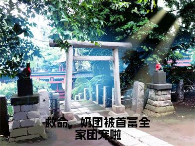 救命，奶团被首富全家团宠啦（江雨鸢）全文免费阅读无弹窗大结局_救命，奶团被首富全家团宠啦全文完整无删减版免费阅读