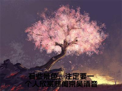 有些景色，注定要一个人欣赏林闻京吴清音免费阅读（吴清音林闻京）完整版全文全章节阅读