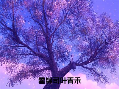 番外+免费小说《霍锦司叶青禾》全文免费阅读无弹窗-霍锦司叶青禾小说全文在线赏析_笔趣阁