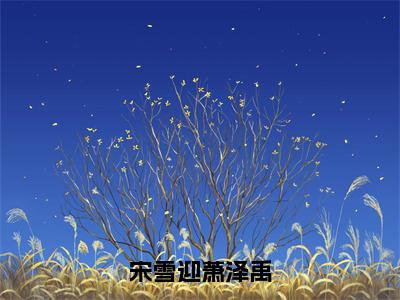 宋雪迎萧泽禹（宋雪迎萧泽禹）全文免费阅读无弹窗大结局_（宋雪迎萧泽禹免费阅读全文大结局）最新章节列表