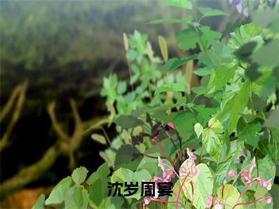 沈岁周宴（沈岁周宴）全文免费阅读无弹窗大结局_沈岁周宴（沈岁周宴无弹窗）_笔趣阁