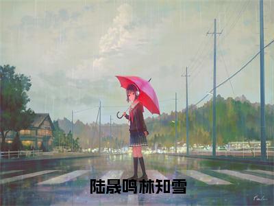 陆晟鸣林知雪（林知雪陆晟鸣）小说免费阅读无弹窗大结局_（林知雪陆晟鸣阅读无弹窗）最新章节列表