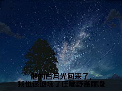  雀雨凝庄啸野抖音完结版阅读《他的白月光回来了，我也该退场了庄啸野雀雨凝》最新章节目录好书推荐_（ 雀雨凝庄啸野）