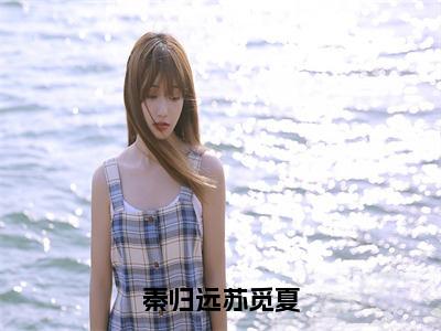 秦归远苏觅夏（苏觅夏秦归远）全文免费阅读_秦归远苏觅夏（苏觅夏秦归远在线小说免费阅读）