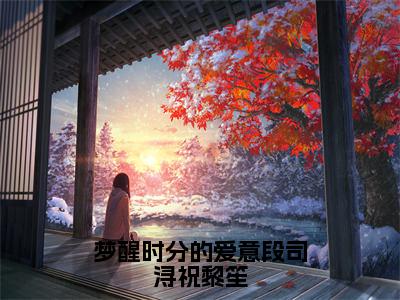 祝黎笙段司浔全文免费阅读-全网首发小说梦醒时分的爱意段司浔祝黎笙