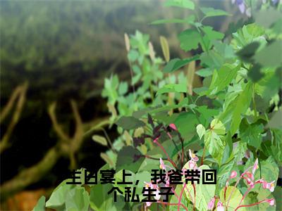 生日宴上，我爸带回个私生子（顾永澜）抖音热推小说全集无删减，顾永澜小说在线免费阅读大结局