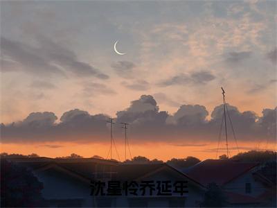 沈星怜乔延年乔延年沈星怜多人追免费无弹窗小说，乔延年沈星怜已完结全集大结局