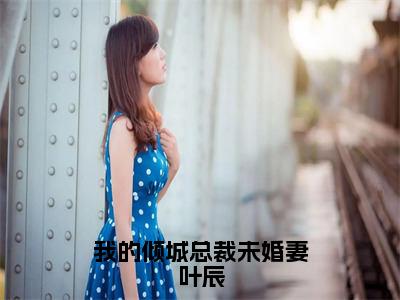 我的倾城总裁未婚妻叶辰（叶辰）全文免费阅读无弹窗大结局_叶辰最新章节列表_笔趣阁