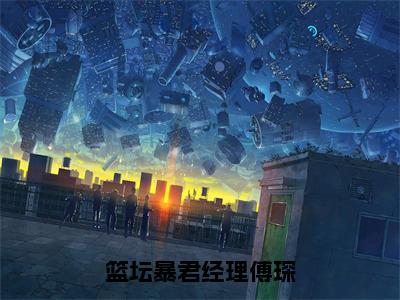 篮坛暴君经理傅琛免费阅读（白苓傅琛）完整版全文全章节阅读