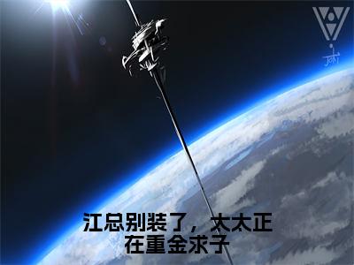 江砚舟沈知许（江总别装了，太太正在重金求子）全文免费阅读无弹窗大结局_江总别装了，太太正在重金求子（江砚舟沈知许）最新章节免费阅读