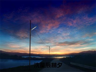 林夕沈星辰（林夕沈星辰）全文免费阅读无弹窗_沈星辰林夕小说免费阅读_笔趣阁