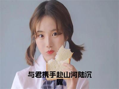 与君携手赴山河陆沉翼的小说全文免费阅读无弹窗，卫绍歌陆沉翼的小说在线免费阅读大结局（卫绍歌陆沉翼）