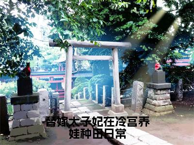 苏安宁独家小说替嫁太子妃在冷宫养娃种田日常-苏安宁无删版小说推荐