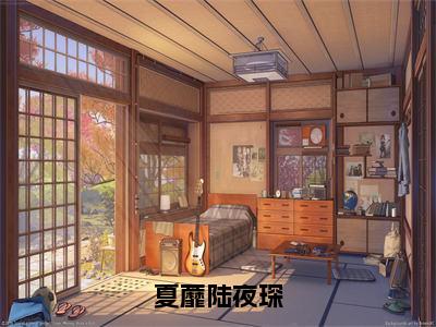 夏蘼陆夜琛（夏蘼陆夜琛）全文免费阅读无弹窗大结局_（夏蘼陆夜琛）夏蘼陆夜琛最新章节列表_笔趣阁