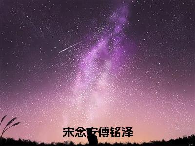 宋念安傅铭泽免费小说-（宋念安傅铭泽）宋念安傅铭泽完结版在线阅读