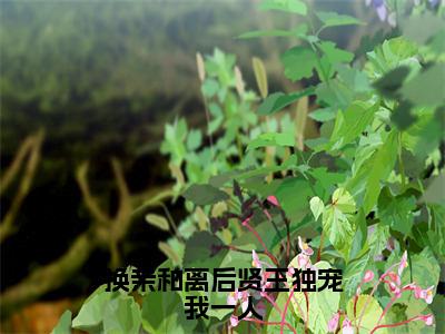 换亲和离后贤王独宠我一人全文免费在线阅读_（换亲和离后贤王独宠我一人免费阅读无弹窗）陆月雪全文免费完结版阅读