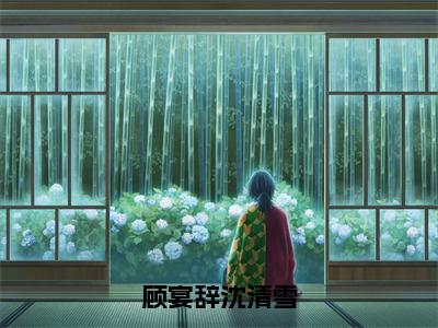 小说《顾宴辞沈清雪》全文免费阅读无弹窗-顾宴辞沈清雪（顾宴辞沈清雪）小说全文在线赏析_笔趣阁