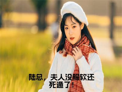 热文（陆总，夫人没服软还死遁了！）在线阅读-（陆总，夫人没服软还死遁了！）完整版免费阅读全文最新章节列表_笔趣阁