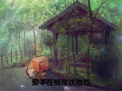 爱不在彼岸沈弛牧（夏鸢沈弛牧）小说全文免费阅读完整版-爱不在彼岸沈弛牧免费在线阅读大结局（夏鸢沈弛牧）