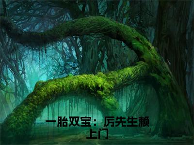 宁云儿厉景琛最新完结免费阅读-一胎双宝：厉先生赖上门悬疑小说在线阅读