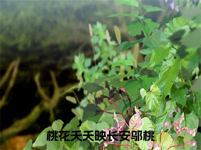 桃花夭夭映长安邬桃（胡不归邬桃）全文免费阅读无弹窗大结局_桃花夭夭映长安邬桃最新章节列表（胡不归邬桃）