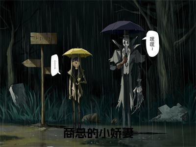 南凝雨商雲霆（商总的小娇妻）小说结局-南凝雨商雲霆全文无弹窗阅读