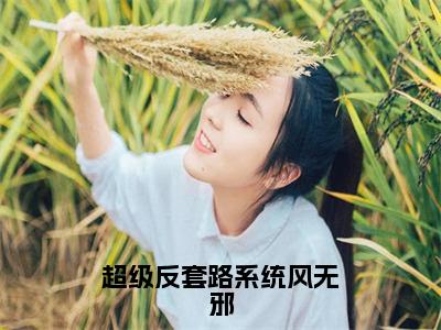 风无邪全文免费阅读大结局-超级反套路系统风无邪最新章节列表笔趣阁