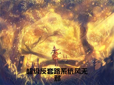 超级反套路系统风无邪（风无邪小说）全文免费阅读无弹窗大结局_超级反套路系统风无邪最新章节列表_笔趣阁（风无邪小说）