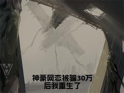 神豪网恋被骗30万后我重生了《付莺小说免费阅读》完整-神豪网恋被骗30万后我重生了小说（付莺）全文最新阅读