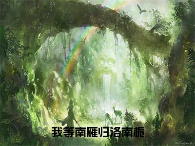 我等南雁归洛南栀小说全文免费阅读（靳寒声洛南栀）全文免费阅读无弹窗大结局_我等南雁归洛南栀最新章节列表